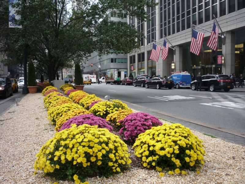 new york