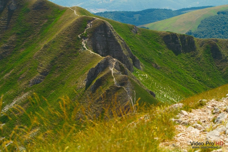 La mia vita. Римские записки, дневник онлайн