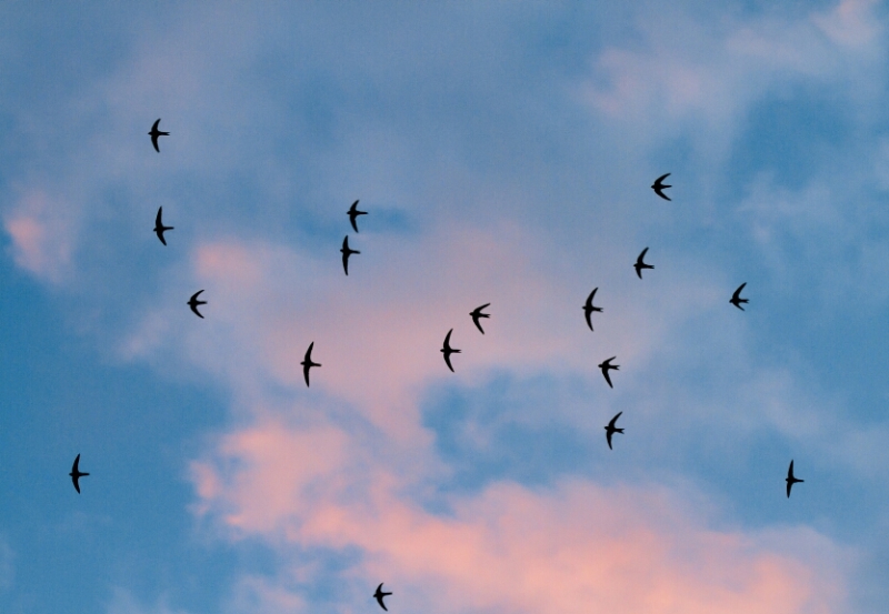 Принял на грудь, скажи что-нибудь! Трезвым вход запрещён!