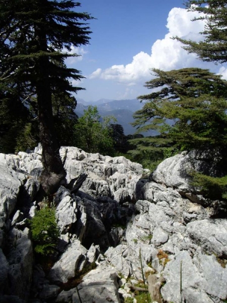Ликийкая тропа Ликийкая тропа