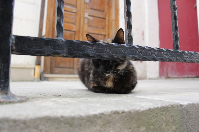 Баку, Грузия, Армения. От Черного города до Черного моря или как мы Кавказ покоряли.