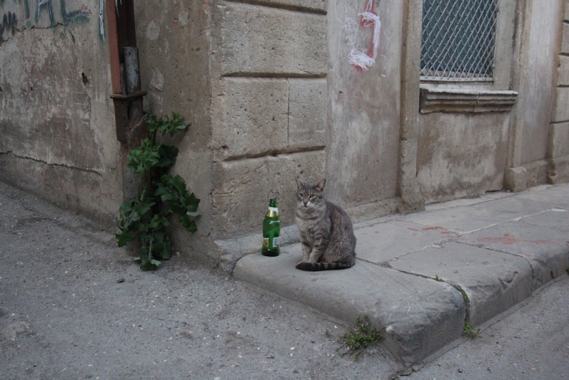 Баку, Грузия, Армения. От Черного города до Черного моря или как мы Кавказ покоряли.