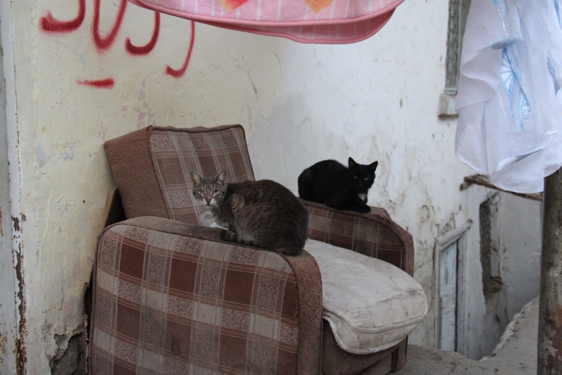 Баку, Грузия, Армения. От Черного города до Черного моря или как мы Кавказ покоряли.