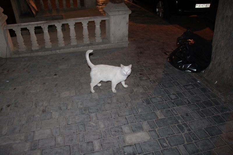 Баку, Грузия, Армения. От Черного города до Черного моря или как мы Кавказ покоряли.