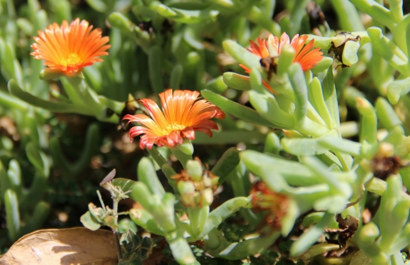 Андалусия июль 2015. Планы и результаты (с фото))