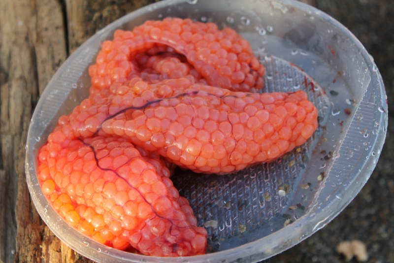 Принял на грудь, скажи что-нибудь! Трезвым вход запрещён!