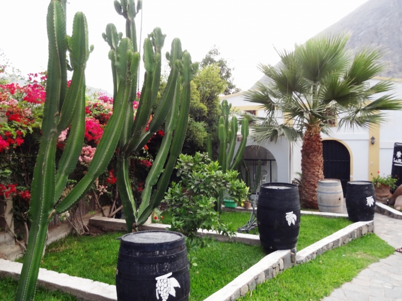 О чем молчат перуанские боги (Перу-Боливия, янв'13)