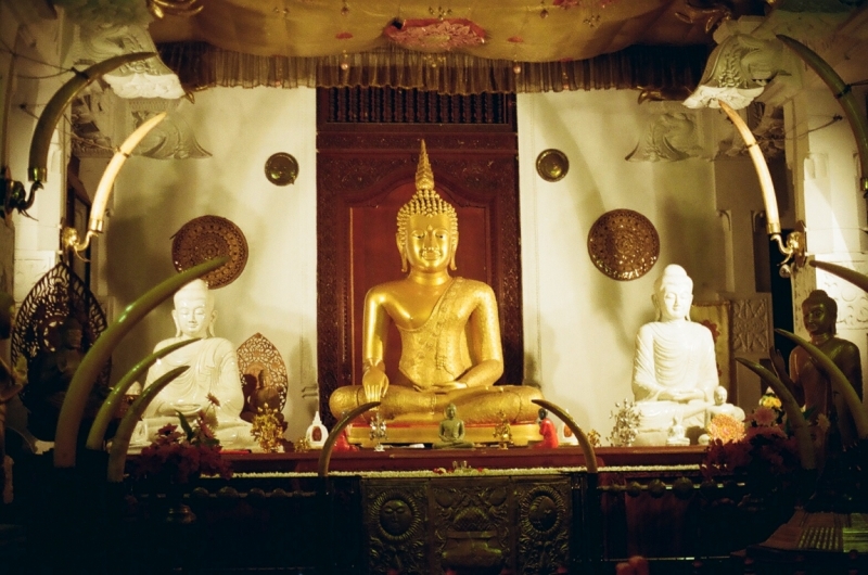 Коломбо-Канди-Аругамбей-Галле-Негомбо июль 2015