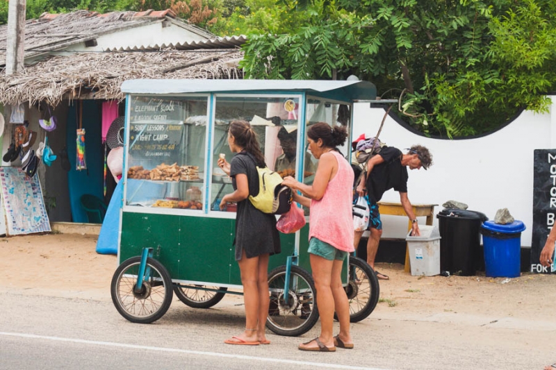Коломбо-Канди-Аругамбей-Галле-Негомбо июль 2015