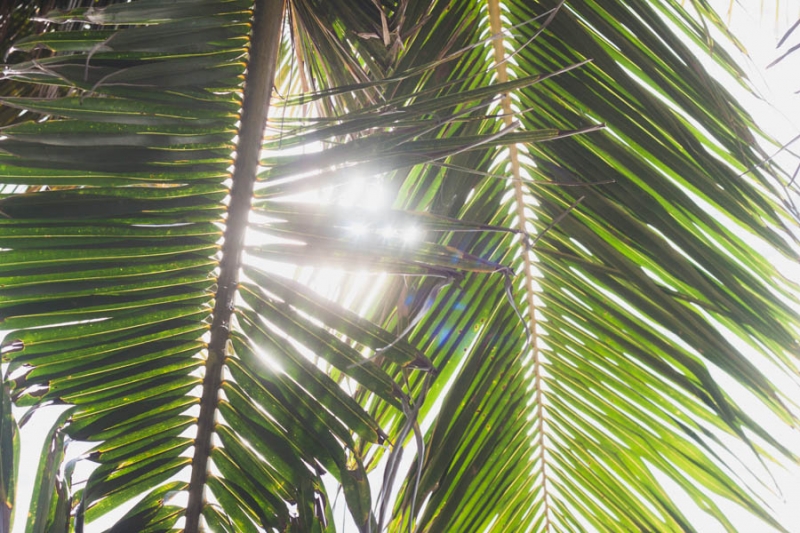 Коломбо-Канди-Аругамбей-Галле-Негомбо июль 2015