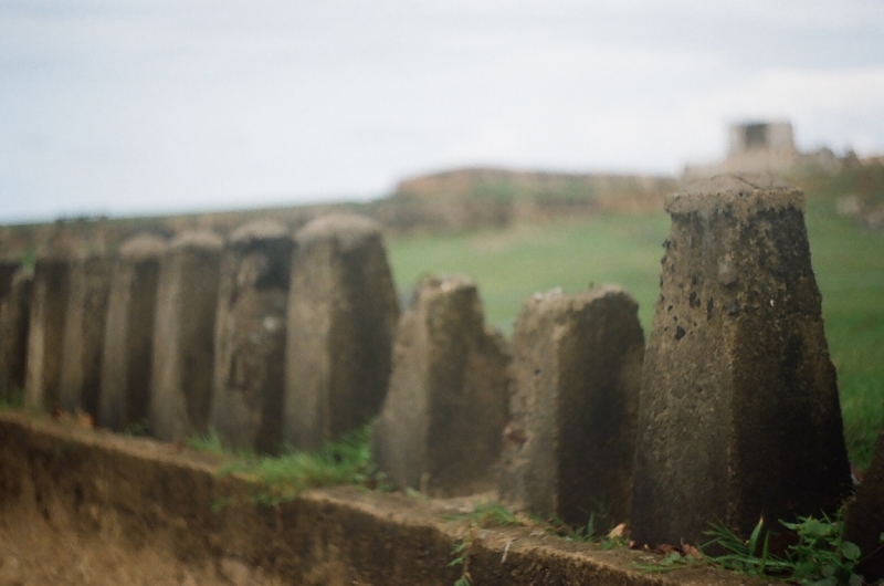 Коломбо-Канди-Аругамбей-Галле-Негомбо июль 2015