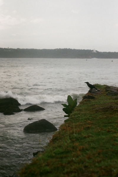 Коломбо-Канди-Аругамбей-Галле-Негомбо июль 2015