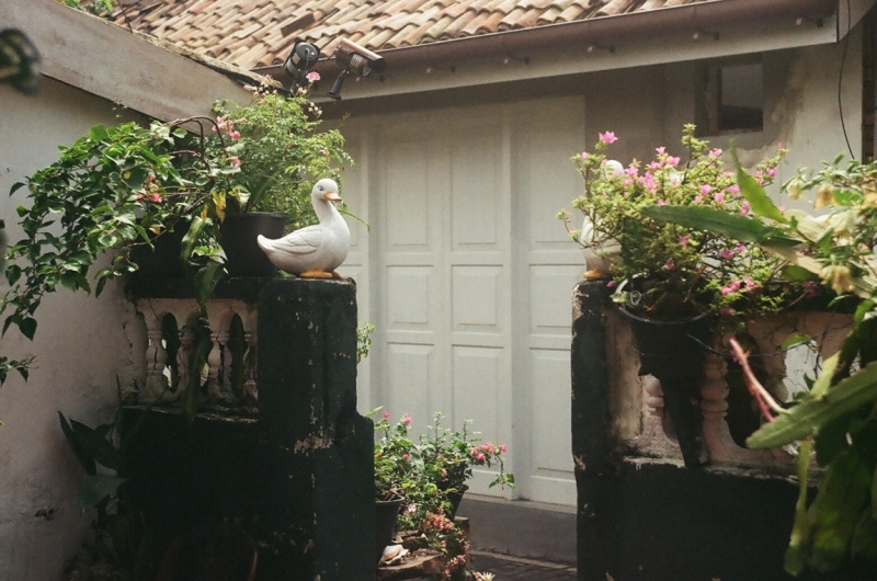 Коломбо-Канди-Аругамбей-Галле-Негомбо июль 2015