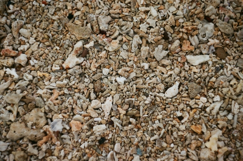 Коломбо-Канди-Аругамбей-Галле-Негомбо июль 2015