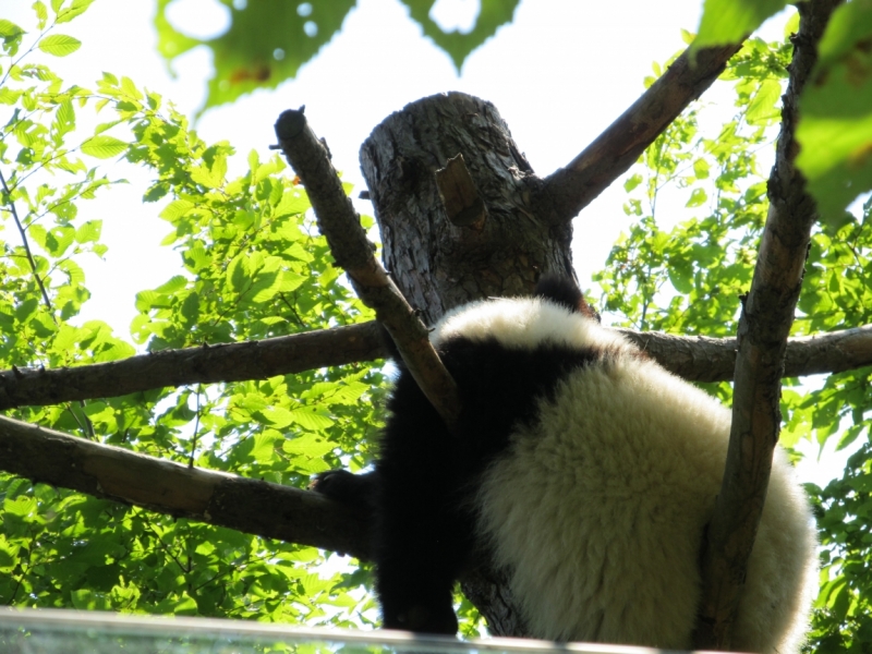 Наша солнечная Австрия! Июль 2014