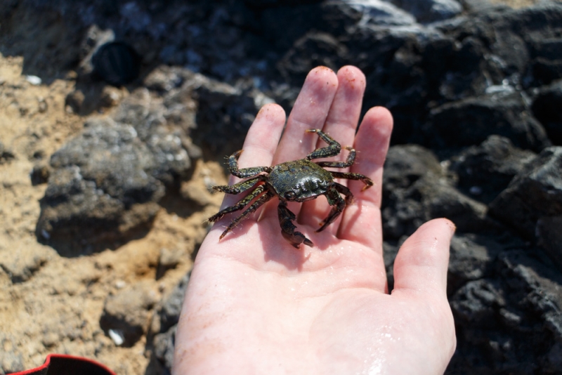 Помогите с маршрутом Сицилия - Неаполь