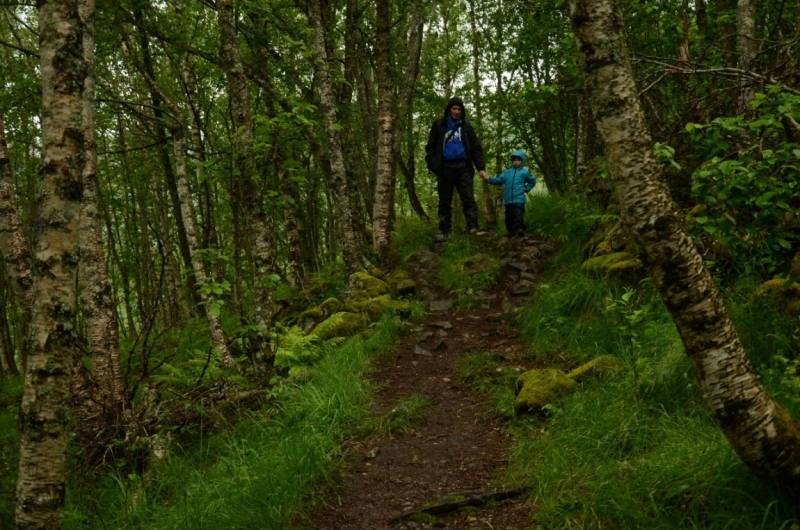 Холодное лето 2015 в поисках клада(прогулки в регионе фьордов с ребенком 4 лет,много фото)