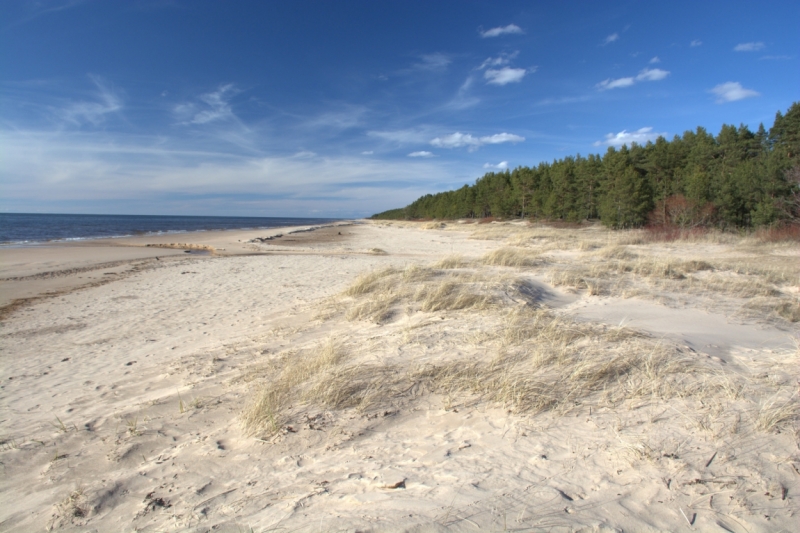 Весна 2015. Четыре Балтийские столицы: Таллин, Стокгольм, Рига и Вильнюс