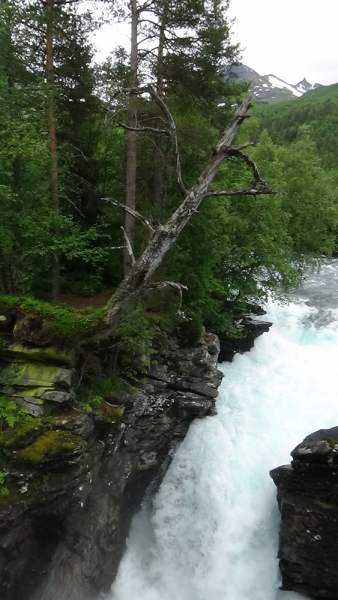 Берлин - Норвегия на 4000 км за 11 дней. Август 2015