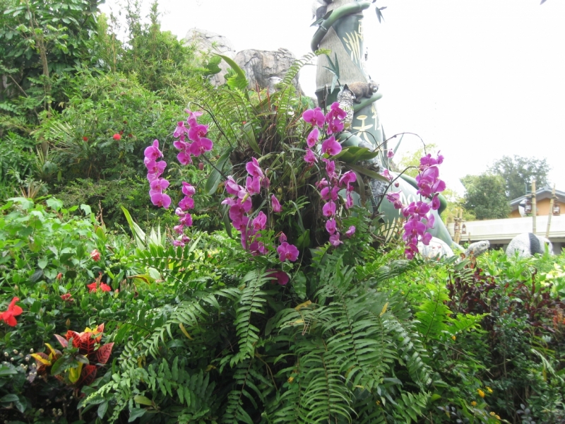 Борнео с посещением Гонконга.