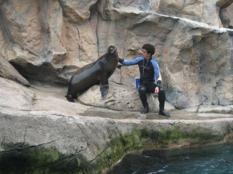 Борнео с посещением Гонконга.