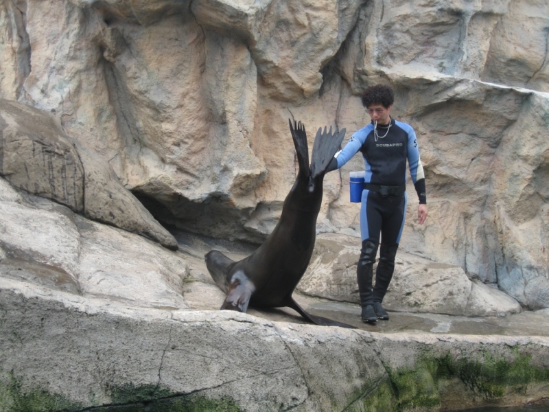 Борнео с посещением Гонконга.