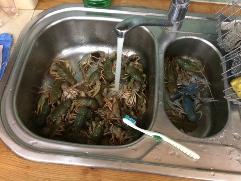 Баку, Грузия, Армения. От Черного города до Черного моря или как мы Кавказ покоряли.