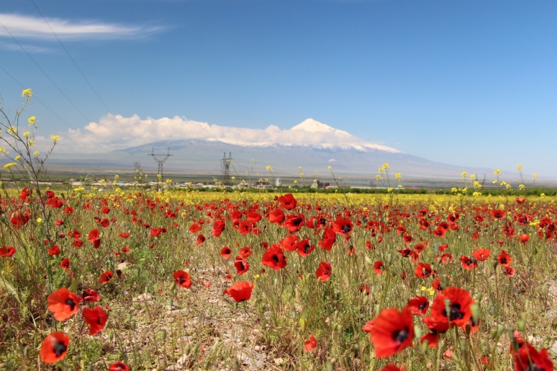 Баку, Грузия, Армения. От Черного города до Черного моря или как мы Кавказ покоряли.