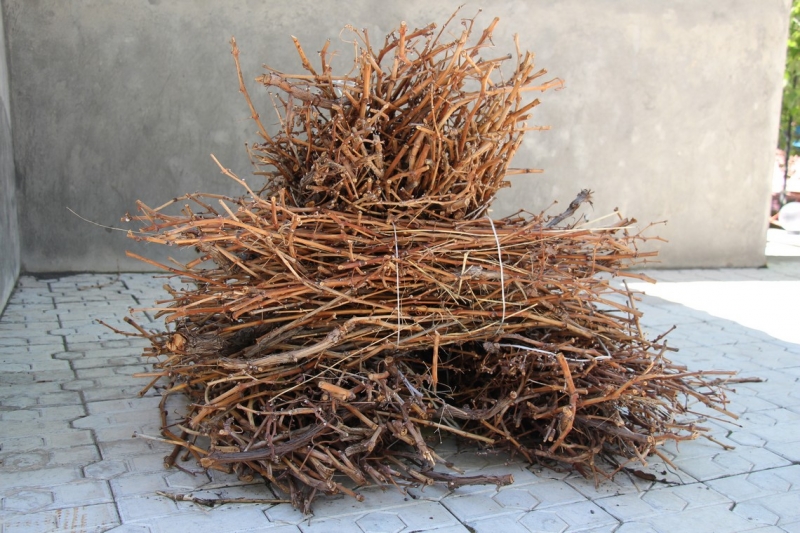 Баку, Грузия, Армения. От Черного города до Черного моря или как мы Кавказ покоряли.