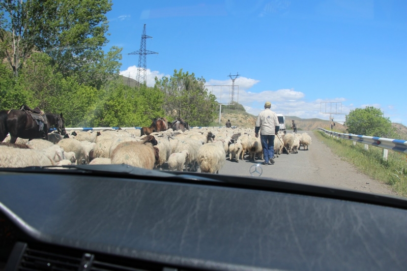 Баку, Грузия, Армения. От Черного города до Черного моря или как мы Кавказ покоряли.