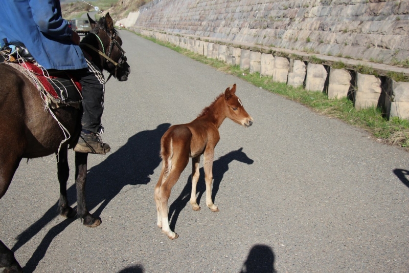 Баку, Грузия, Армения. От Черного города до Черного моря или как мы Кавказ покоряли.