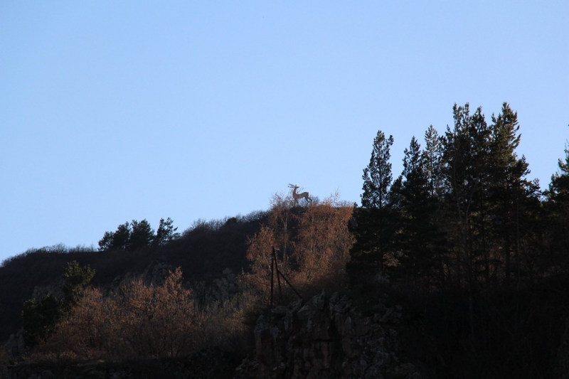 Баку, Грузия, Армения. От Черного города до Черного моря или как мы Кавказ покоряли.