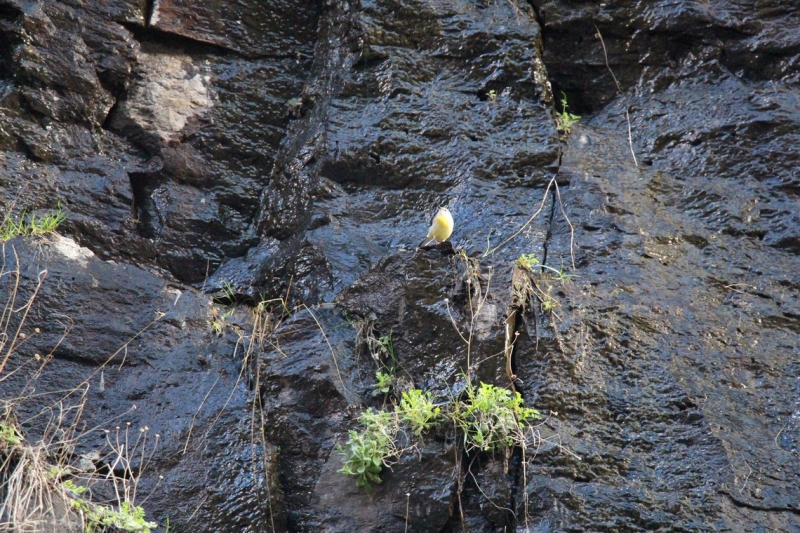 Баку, Грузия, Армения. От Черного города до Черного моря или как мы Кавказ покоряли.