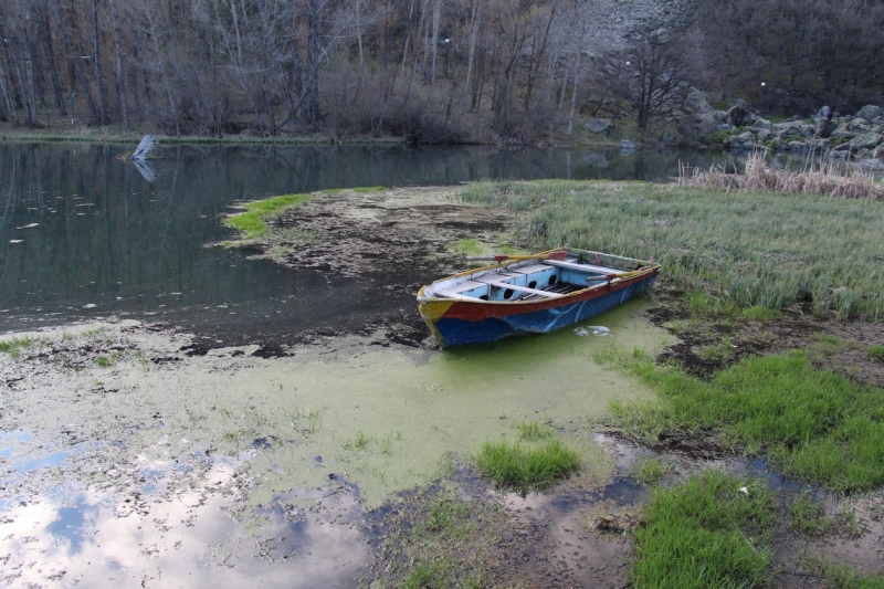 Баку, Грузия, Армения. От Черного города до Черного моря или как мы Кавказ покоряли.