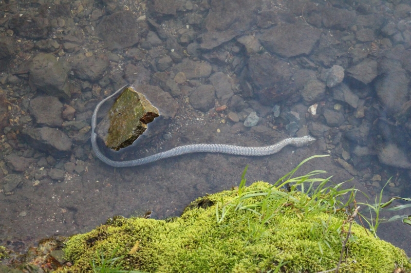 Баку, Грузия, Армения. От Черного города до Черного моря или как мы Кавказ покоряли.