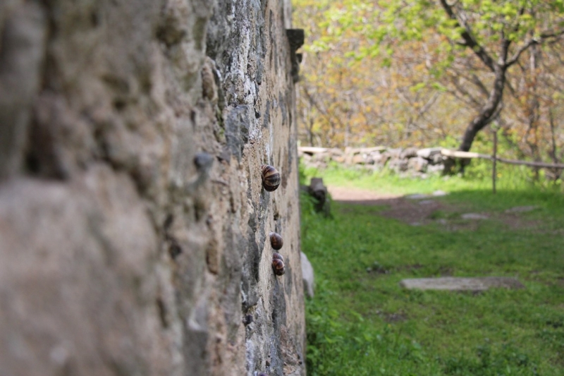 Баку, Грузия, Армения. От Черного города до Черного моря или как мы Кавказ покоряли.