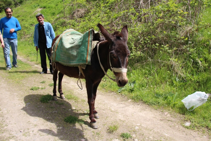 Баку, Грузия, Армения. От Черного города до Черного моря или как мы Кавказ покоряли.
