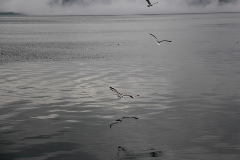 Баку, Грузия, Армения. От Черного города до Черного моря или как мы Кавказ покоряли.