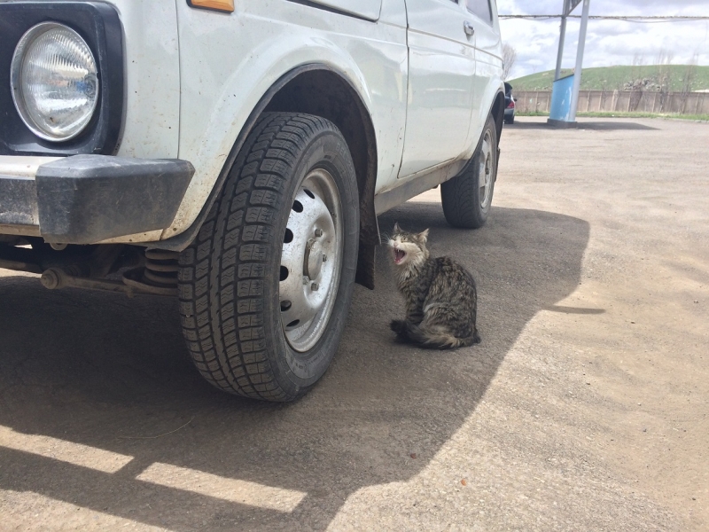 Баку, Грузия, Армения. От Черного города до Черного моря или как мы Кавказ покоряли.