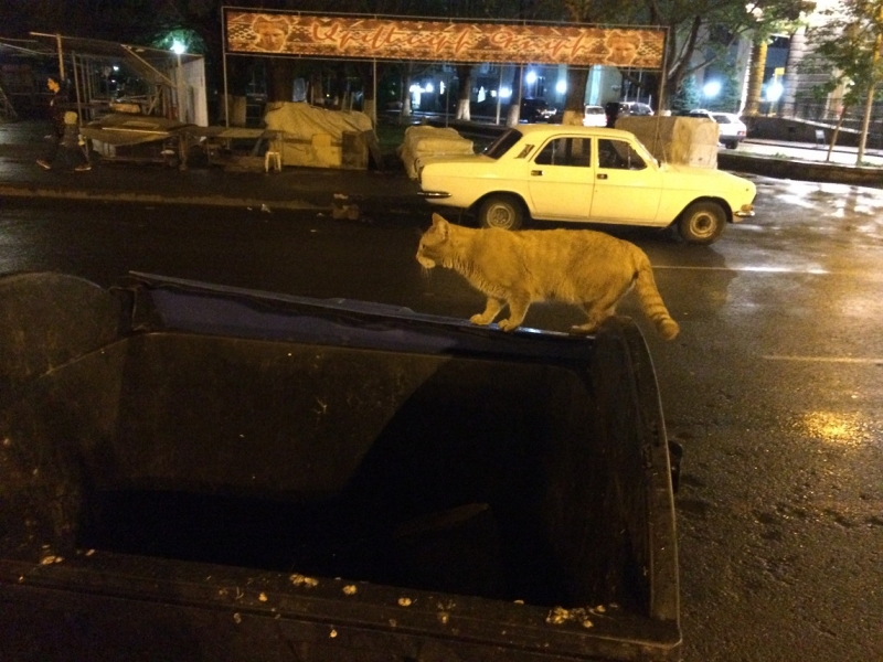 Баку, Грузия, Армения. От Черного города до Черного моря или как мы Кавказ покоряли.