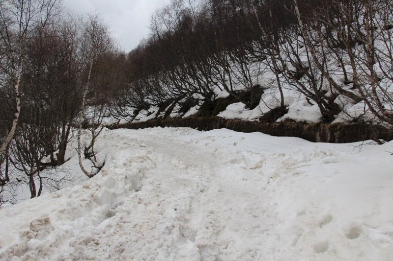 Баку, Грузия, Армения. От Черного города до Черного моря или как мы Кавказ покоряли.