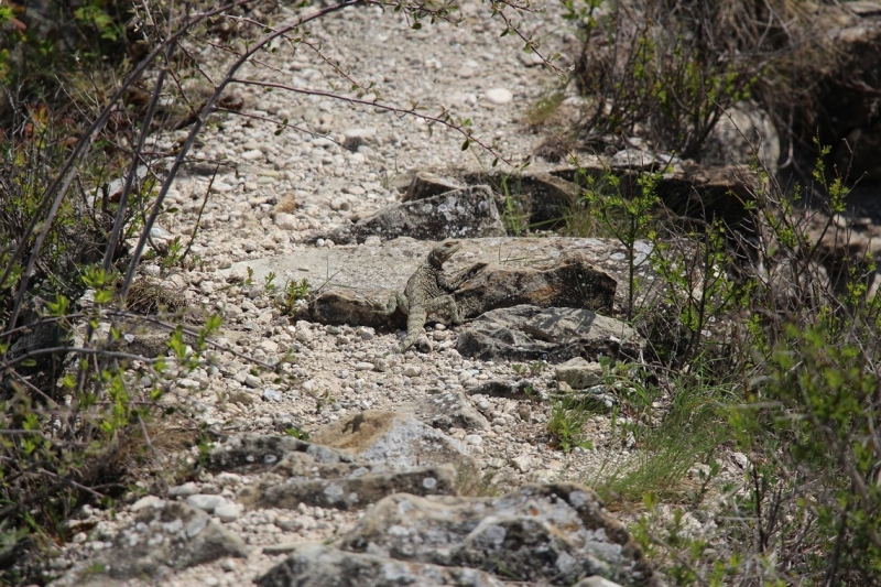 Баку, Грузия, Армения. От Черного города до Черного моря или как мы Кавказ покоряли.