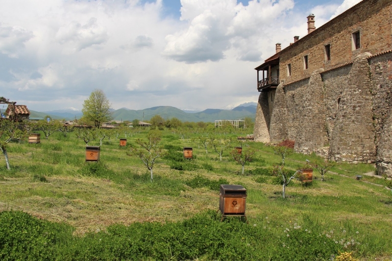 Баку, Грузия, Армения. От Черного города до Черного моря или как мы Кавказ покоряли.