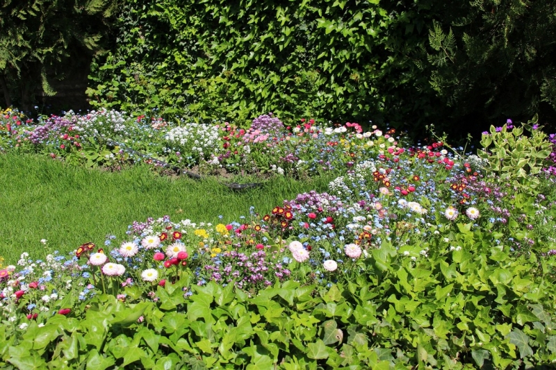 Баку, Грузия, Армения. От Черного города до Черного моря или как мы Кавказ покоряли.