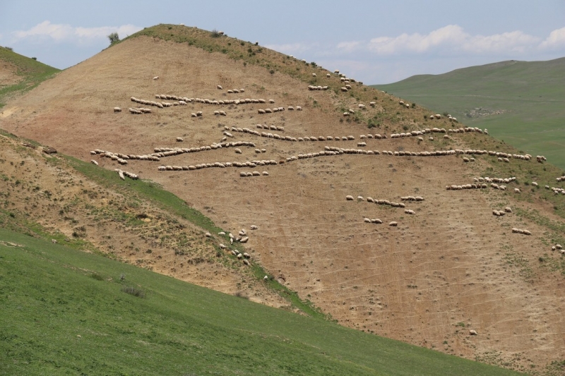 Баку, Грузия, Армения. От Черного города до Черного моря или как мы Кавказ покоряли.