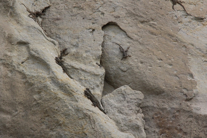 Баку, Грузия, Армения. От Черного города до Черного моря или как мы Кавказ покоряли.