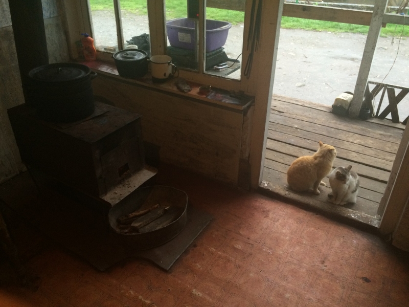 Баку, Грузия, Армения. От Черного города до Черного моря или как мы Кавказ покоряли.