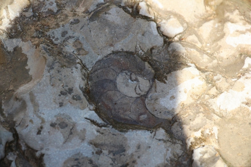 Баку, Грузия, Армения. От Черного города до Черного моря или как мы Кавказ покоряли.