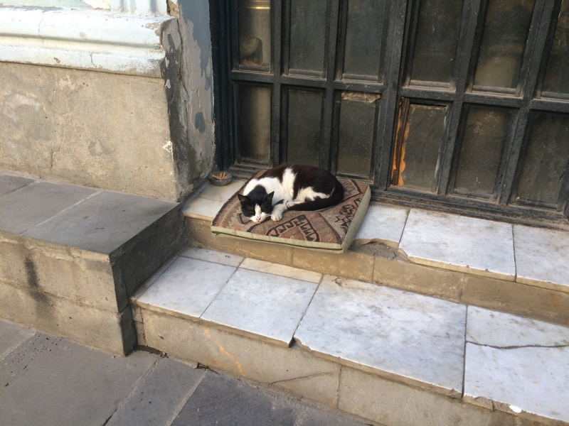 Баку, Грузия, Армения. От Черного города до Черного моря или как мы Кавказ покоряли.