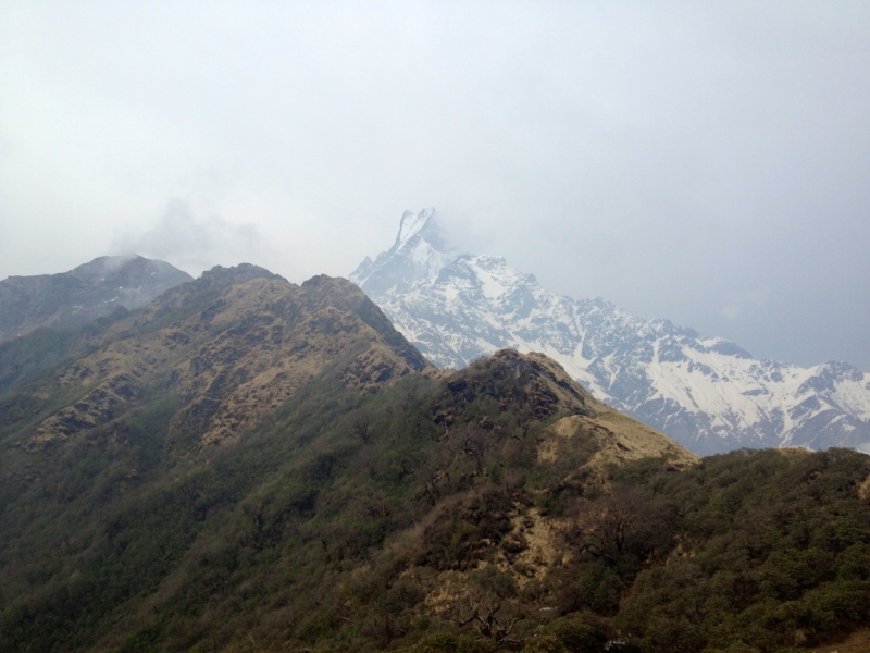 Mardi Himal trek...или через тернии к Шиве